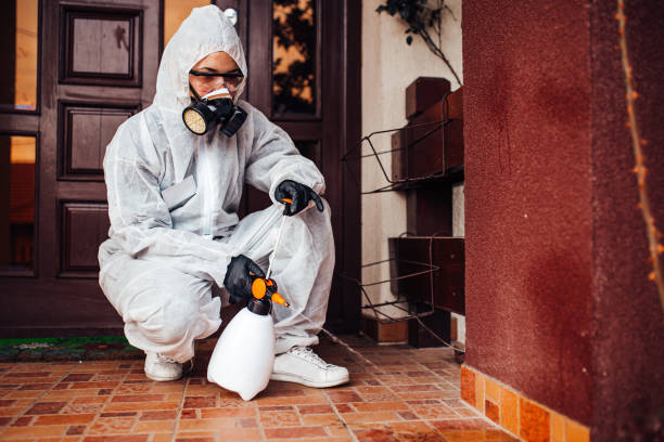 Reliable Bed Bug Control contractor in Stepping Stone, CO by Nex Pest Control