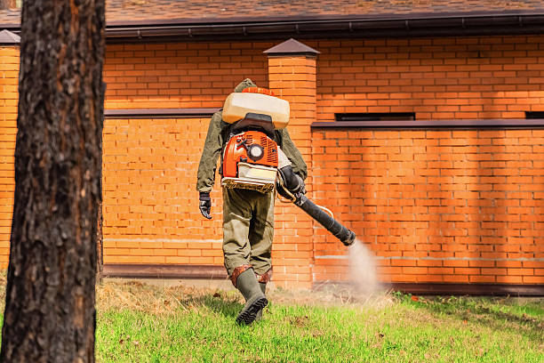 Top rated local Bed Bug Control specialists in Stepping Stone, CO